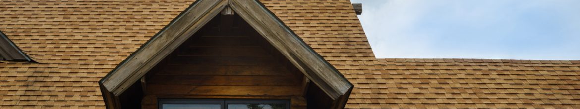 Protecting Your Home: Roof Maintenance